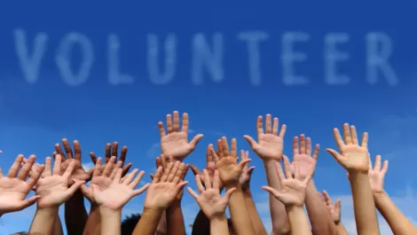 Online volunteers putting Not for Profit sector at risk