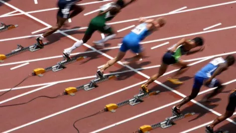 On your marks, get set, Dot Kiwi...