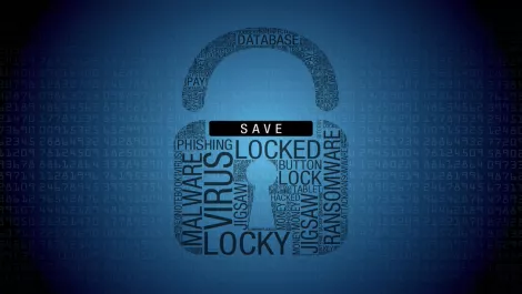 Cyber awareness initiative releases jargon dictionary for NZ organisations
