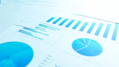 CEOs responsible for financial errors, not CFOs - research
